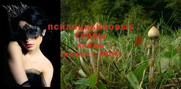 хмурый Бронницы