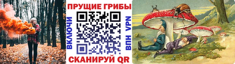 блэк спрут ССЫЛКА  Сретенск  Галлюциногенные грибы прущие грибы 